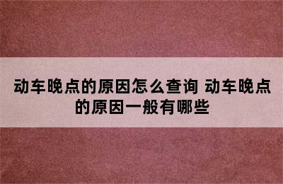 动车晚点的原因怎么查询 动车晚点的原因一般有哪些